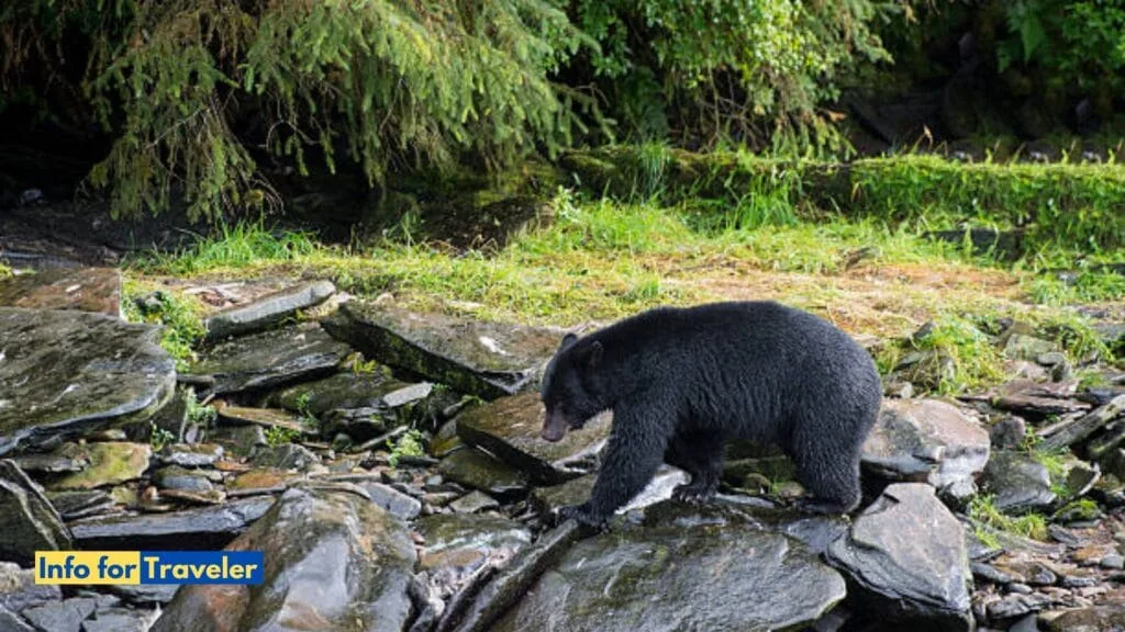 Ketchikan