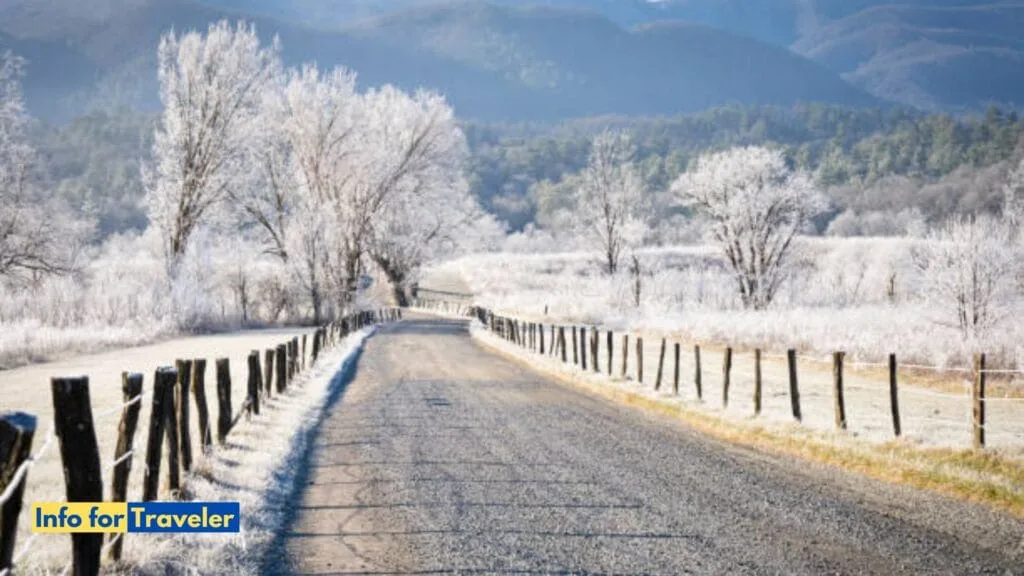 Introducing Cades cove 