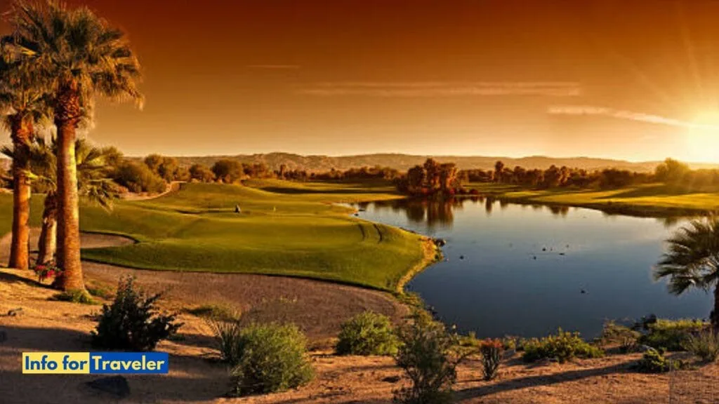 The Charm of Palm Desert