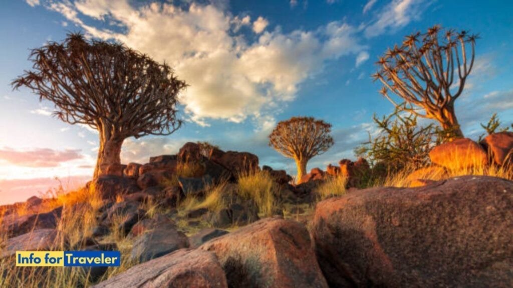 Amazing scenes in Namibia