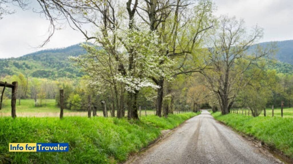 Cades cove