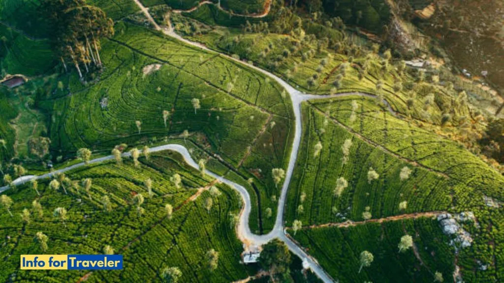 Amazing Motorcycle trip in Sri Lanka