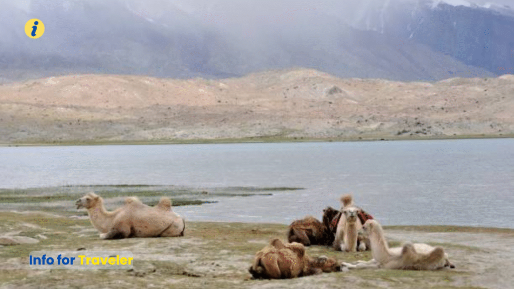 Karakul Lake