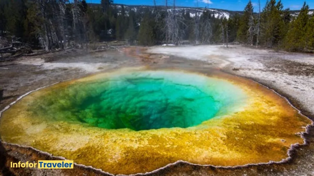 Yellowstone National Park 