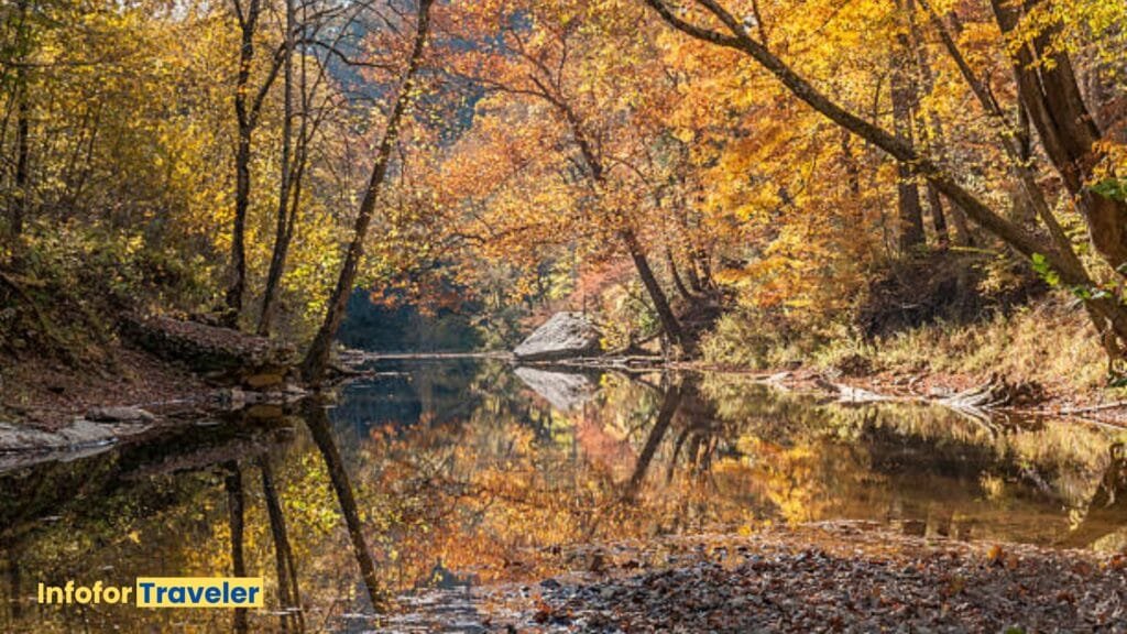 Amazing Red River
