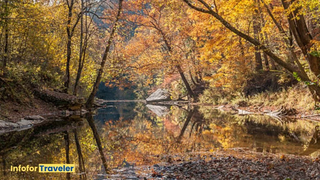 Amazing and Adventerous Red River