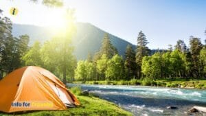 ser camping