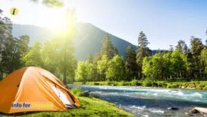 ser camping