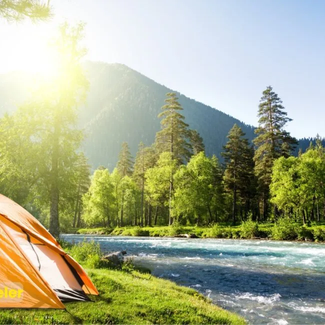 ser camping