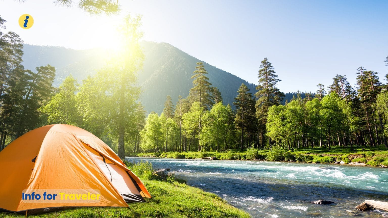 ser camping