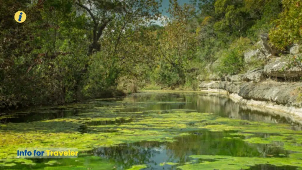 Wimberley