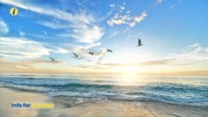 Kathy Osterman Beach