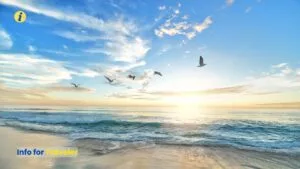 Kathy Osterman Beach