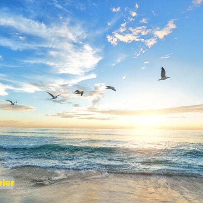 Kathy Osterman Beach