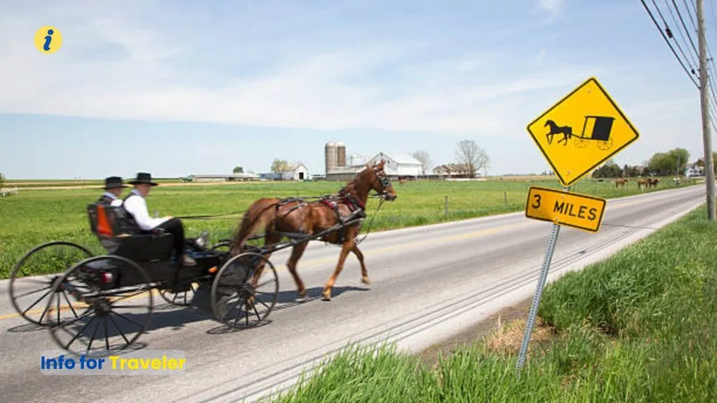Amish Countryside
