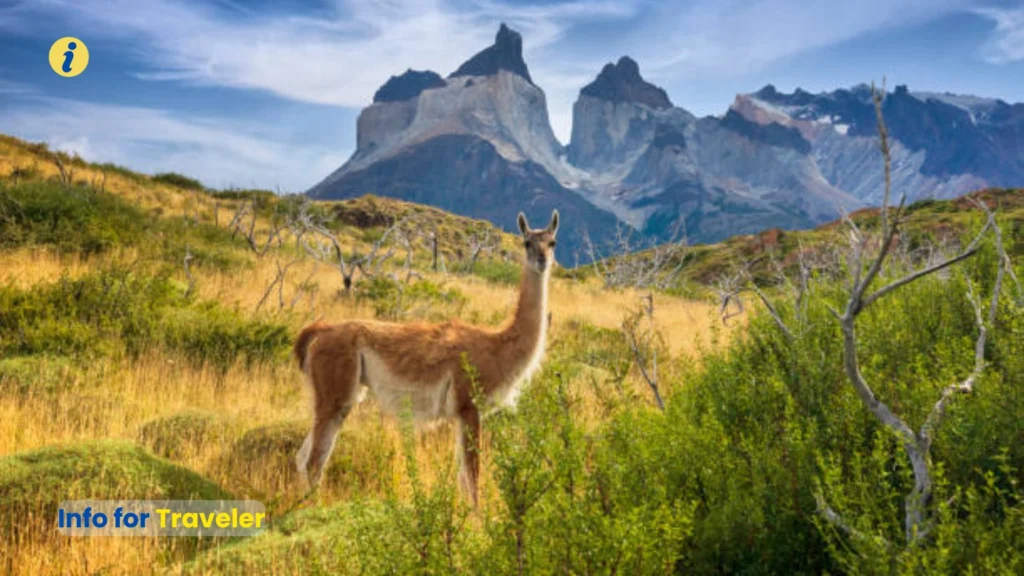 Torres del Paine, Patagonia